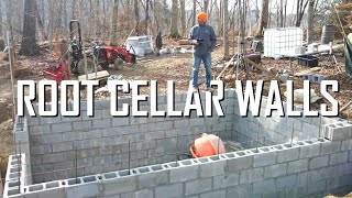 Building the root cellar walls with concrete block  E135 [upl. by Ayetal]