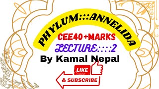 Phylum Annelida lecture2cee zoology all lectures with best notes [upl. by Eulalie]