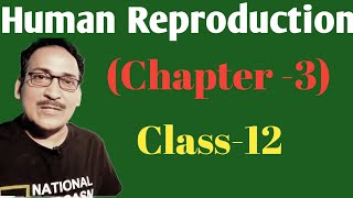 HUMAN REPRODUCTION CLASS12 CHAPTER3 [upl. by Lilla]