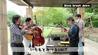 デキシー・ブレイク・ダウン【cover】Dixie break down [upl. by Ettennor668]