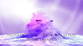 Histologia das Tonsilas Palatinas [upl. by Jacqueline535]