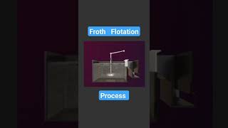 Froth Flotation process  class 12 chemistry  metallurgy  vk chemistry lab [upl. by Olleina546]