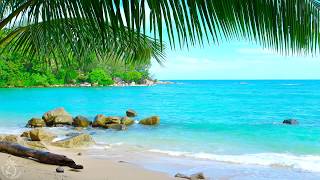 🌴 Tropical Beach Ambience on a Island in Thailand with Ocean Sounds For Relaxation amp Holiday Feeling [upl. by Rayna]