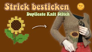 Strick besticken Der MASCHENSTICH Duplicate Knit Stitch 🧶  LOUISENKIND [upl. by Anemaj]