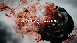 Missing Limbs  Sleep Token slowed  reverb [upl. by Resiak901]