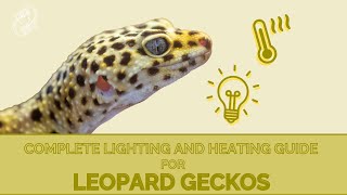 What’s The Proper Lighting Setup For A Leopard Gecko [upl. by Alliuqaj]