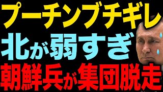 【ロシア軍配属の北朝鮮兵が集団脱走】クルスク配備直前の大失態【総集編】 [upl. by Farlie]