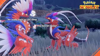 Picnicking at night amp Two Koraidon Sleep together  Pokémon Scarlet amp Violet [upl. by Denton]