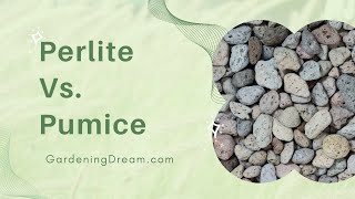 Perlite Vs Pumice [upl. by Aitahs]