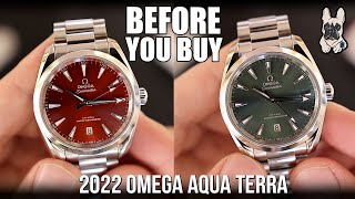 FINALLY NEW 2022 Omega Aqua Terra 38mm  Watch Review [upl. by Wolfe526]