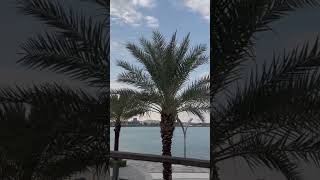 Qetaifan islandshortsminivlogytshortstrendingviralqatardohaqatar qatarvlog [upl. by Rednal318]