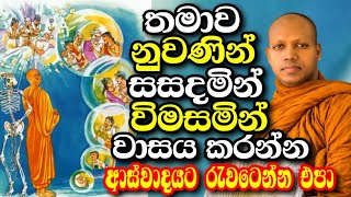 ආස්වාදය අනුව නොබලා ආදීනව අනුව ලෝකය බලන්න උත්සහ කරන්න Ven Hasalaka Seelawimala thero [upl. by Lutero]