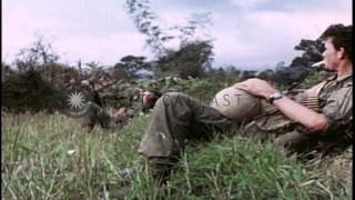 United States soldiers of 31st Infantry and 196th Light Infantry Brigade on searcHD Stock Footage [upl. by Niwrud]