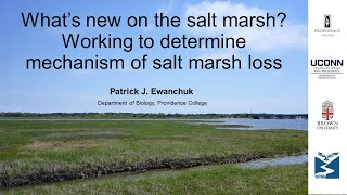 Salt Marshes Presentation at WRWA Annual Meeting by Patrick Ewanchuk PhD March 3 2024 [upl. by Stillas]