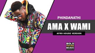 Phindanathi  Ama X Wami Original Audio [upl. by Gerge389]