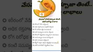 Healthy Benefits Of Muskmelon Fruit✨karbuja fruit healthyfood ytshorts [upl. by Herschel185]