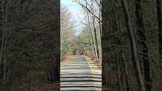 Windham rail trail nature railtrail americanflag travel newengland daytrip exploring [upl. by Nnaylime]