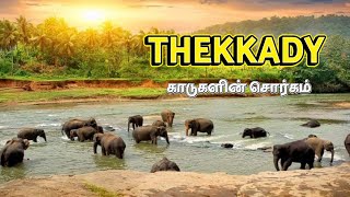 Thekkady Kerala  Things to do in Thekkady  Exploring Kerala [upl. by Uohk]