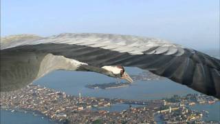 Flying Alongside Common Cranes Over Venice [upl. by Trahern]