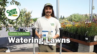 Watering Lawns Expert Tips From Nick [upl. by Nahshunn323]