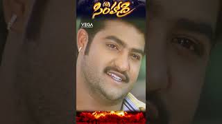 shorts  NTR reminding Nassar words to BhanuChandar Simhadri ntrmovies simhadri4k ntr30 [upl. by Lhadnek683]