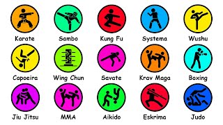 Every Martial Art Type Explained in 12 Minutes [upl. by Ainafetse]