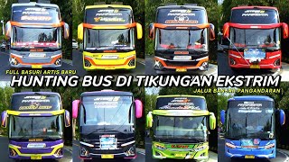 mobil bus telolet quartet bravo Sierra Bumblebee dkk shanum UPJ BS GUVILLI safana Eleganza DLL [upl. by Santiago36]