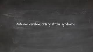 anterior cerebral artery stroke  all you need to know [upl. by Gies]