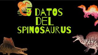 reacciono a 5 datos del spinosaurus [upl. by Liliane938]