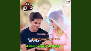 Aslam Singer SR 8450 [upl. by Quennie]