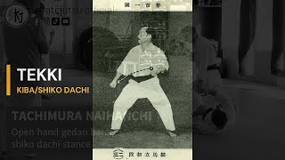 Tekki kibashiko dachi application [upl. by Musihc]