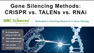 Gene Silencing Methods  CRISPR vs TALENs vs RNAi  siRNA  sgRNA  BOC Sciences [upl. by Griffis]