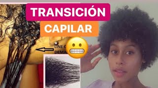 TRANSICIÓN CAPILAR CONSEJOS Sobre La TRANSICIÓN Del Cabello [upl. by Neile]