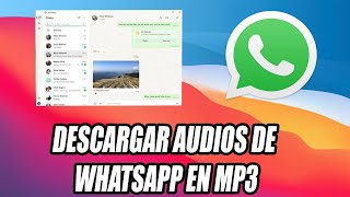 COMO DESCARGAR AUDIOS DE WHATSAPP EN PC MP3 🚀 Web y Desktop TRUCO ✅ [upl. by Nayab22]