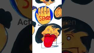 Sense Organs shorts viral tranding highlights [upl. by Areek662]