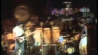 ARMS Benefit Concert 1983  Full Concert [upl. by Kenji]