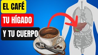 Esto hace el Café en tu Hígado y tu Cuerpo incluso una sola Taza [upl. by Nnyleuqaj240]