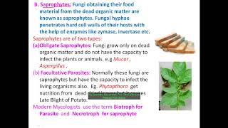 Nutrition in Fungi By Dr Kiran Tak For Paper II  I year Botany [upl. by Llerud457]