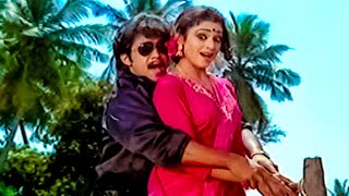 Dorasani Dunnutunnadi Song  Arjun Shobana Superhit Song  Manavadostunnadu Movie Video Songs [upl. by Mccomb]