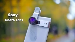 Prosumer Sony Handicam Macro Lens Review With GOOGLE PIXEL 7  Prosumer Macro Lens for GOOGLE PIXEL [upl. by Blau]