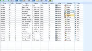 How to enter Likert Scale into SPSS [upl. by Anitsyrhc502]