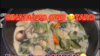 GINATAANG GABI OR LAING TARO WITH COCONUT MILK trending cooking food ginataanglaing foodies [upl. by Norrehc390]