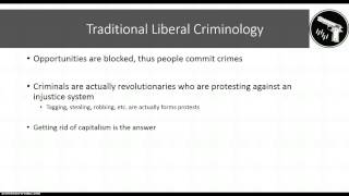 Critical Criminology [upl. by Sylvanus]