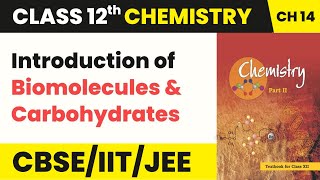 Class 12 Organic Chemistry Ch 14 Introduction of Biomolecules amp Carbohydrates Biomolecules 202223 [upl. by Alphonsine]