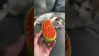 Escova Para Gatos A Vapor viralvideo [upl. by Aynatal]