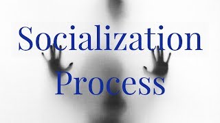 Socialization Process of a Child in Hindi  CTET  DSSSB  KVS [upl. by Eisoj]