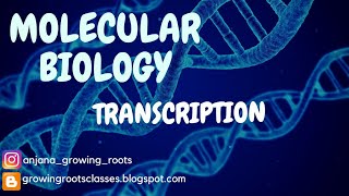 MOLECULAR BIOLOGY  TRANSCRIPTION Explanation In Malayalam  Protein Synthesis Malayalm  BSc Botany [upl. by Glennie]