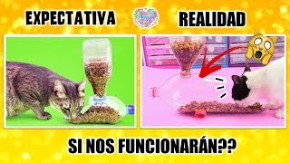 🐈Probando TRUCOS para GATOS Pte 2  Juguetes y Comederos para GATOS😻😺 [upl. by Remlap]