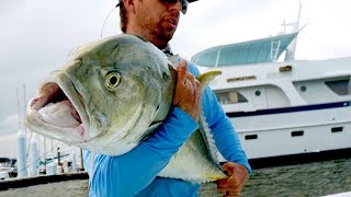 Fishing for Inshore MONSTERS by the Docks [upl. by Daegal]