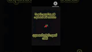 Arabic lyrics song emarati emarati song tiktok trending song ඉමාරාජි song 🎵🎵🎵 [upl. by Neleh]